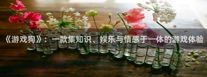 欧博娱乐平台官网客服电话：《游戏狗》：一款集知识、娱乐与情感