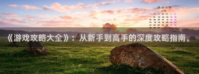 欧博娱乐娱乐：《游戏攻略大全》：从新手到高手的深度攻略指南。
