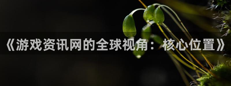 欧博娱乐平台登录：《游戏资讯网的全球视角：核心位置》