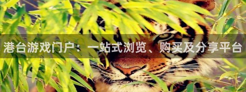欧博娱乐平台登录：港台游戏门户：一站式浏览、购买及分享平台