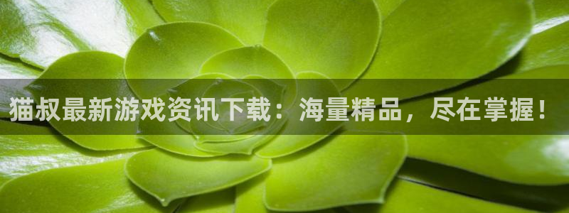 欧博娱乐网页版地址：猫叔最新游戏资讯下载：海量精品，尽在掌握