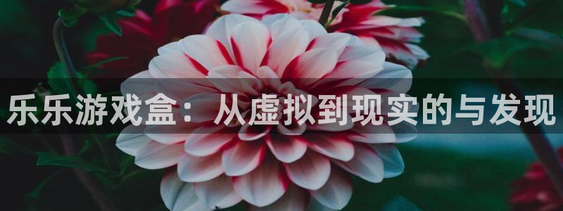 欧博娱乐4主管：乐乐游戏盒：从虚拟到现实的与发现