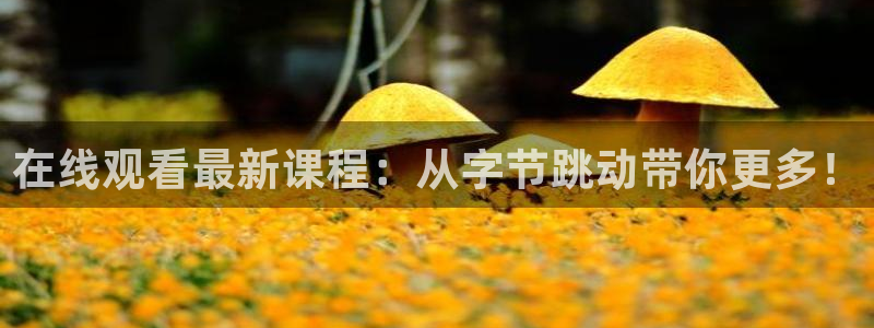 说球帝直播在线观看免费：在线观看最新课程：从字节跳动带你更多！