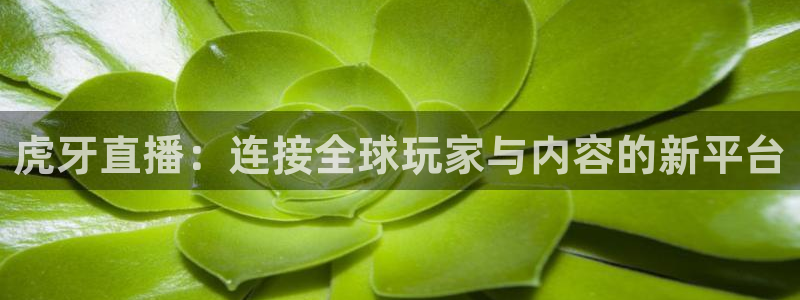 说球帝直播免费观看入口