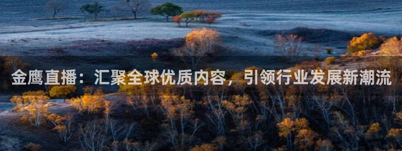 说球帝体育直播官网：金鹰直播：汇聚全球优质内容，引领行业发展新潮流